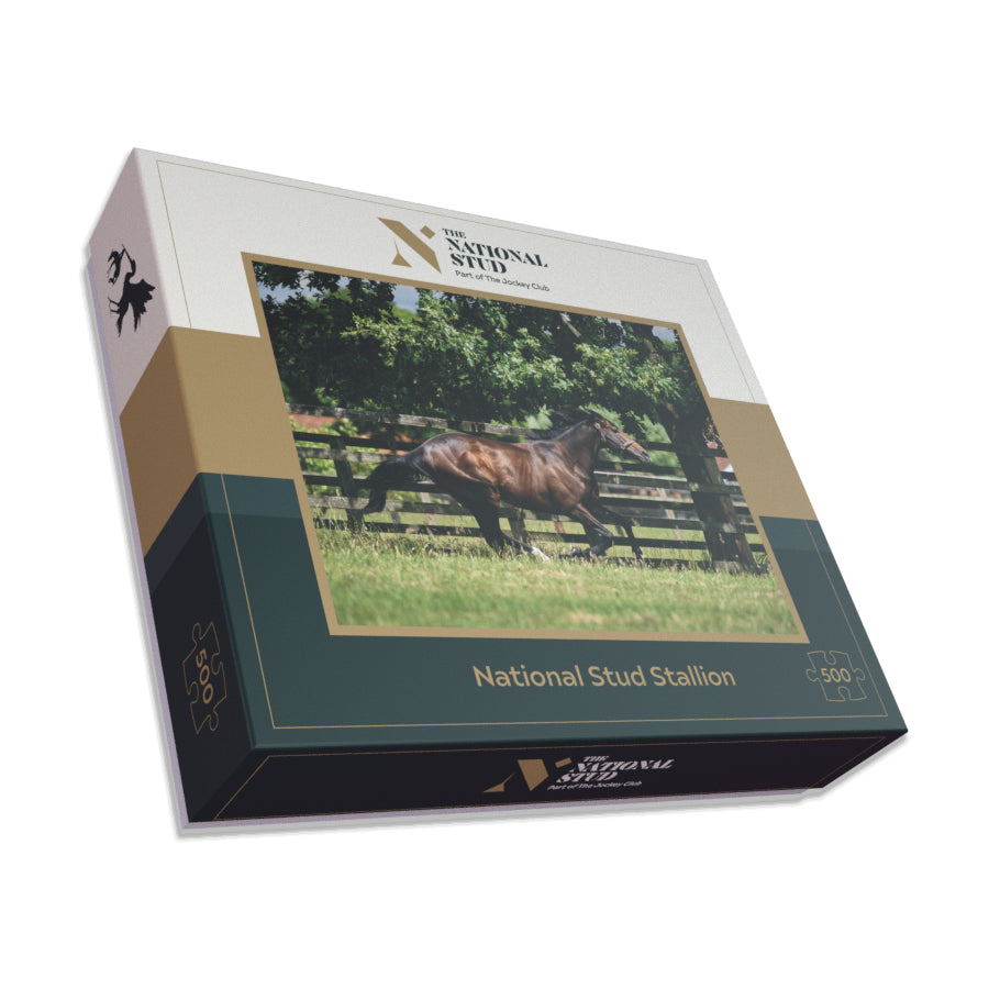 National Stud Stallions Jigsaw