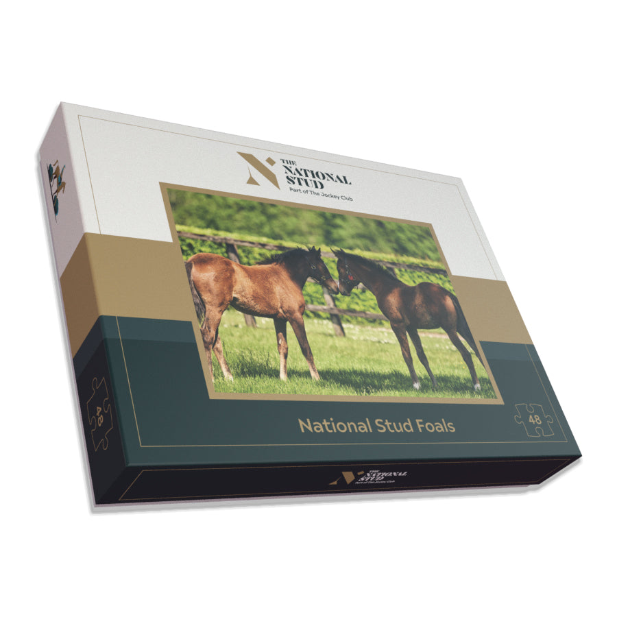 National Stud Foals Jigsaw